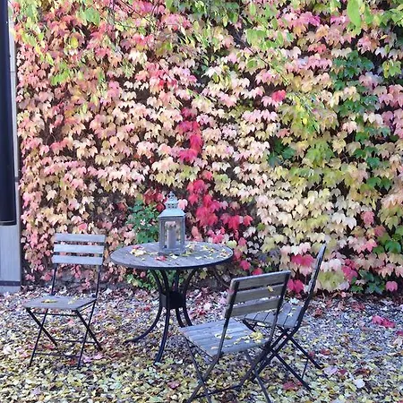 Frühstückspension Le Relais Des Anges Mercuès