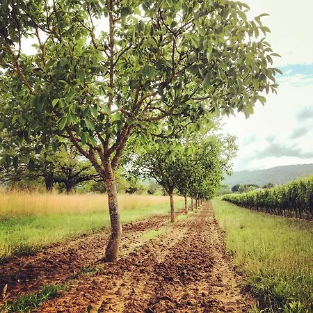 Frühstückspension Le Relais Des Anges