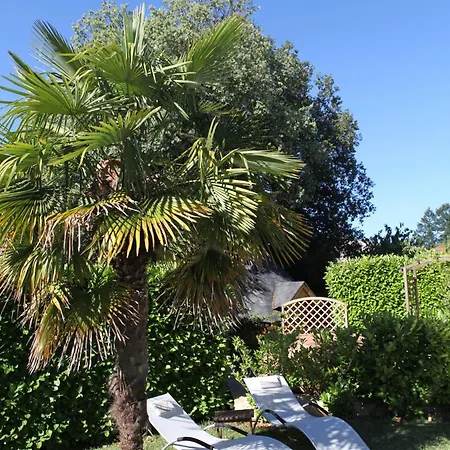 Le Relais Des Anges Frühstückspension Mercuès