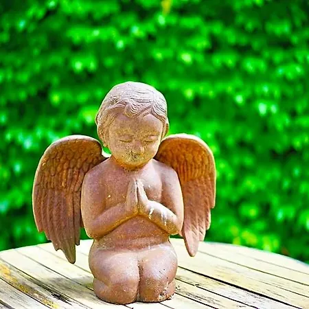 Le Relais Des Anges 4*