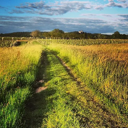 Le Relais Des Anges 4* Меркюе