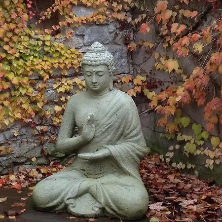 Le Relais Des Anges Panzió Mercuès